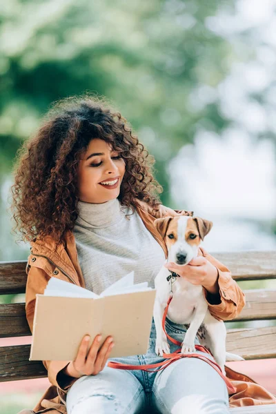 Кудрявая женщина в осеннем наряде сидит на скамейке в парке с книгой и собакой-терьером Джеком Расселом — стоковое фото