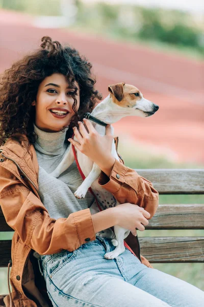 Mujer rizada en traje de otoño mirando a la cámara mientras abraza gato russell terrier perro en el banco en el parque - foto de stock