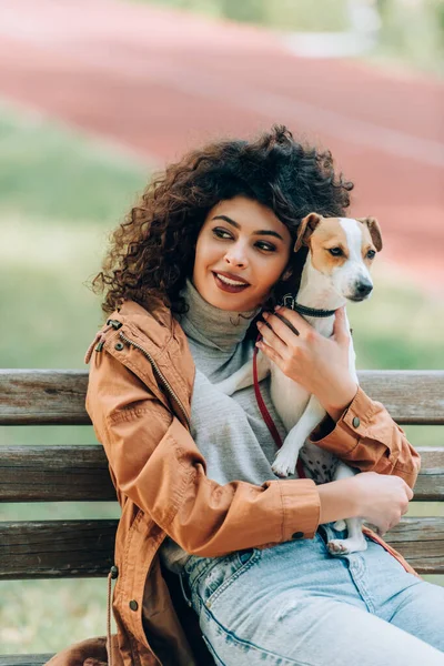 Mujer con estilo en traje de otoño mirando hacia otro lado mientras acaricia gato russell terrier perro en el banco en el parque - foto de stock