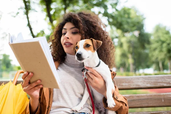 Brunette woman reading book and holding jack russell terrier dog on bench in park — Stock Photo