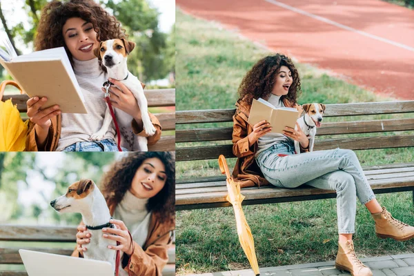 Collage del freelancer elegante usando el ordenador portátil y el libro de lectura mientras que está sentado en el banco en el parque con el perro del terrier de Jack Russell - foto de stock