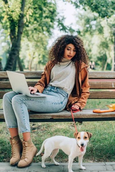 Enfoque selectivo de freelancer elegante sentado en el banco con el ordenador portátil y Jack Russell terrier perro con correa - foto de stock