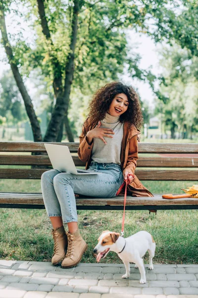 Excited freelancer touching chest while sitting on bench with laptop and jack russell terrier dog on leash — Stock Photo