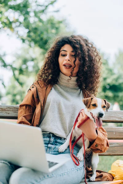 Selective focus of stylish freelancer using laptop while sitting on bench with jack russell terrier dog — Stock Photo