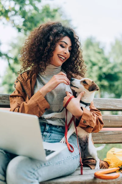 Elegante freelancer sentado en el banco con el ordenador portátil y la alimentación de Jack Russell terrier perro - foto de stock