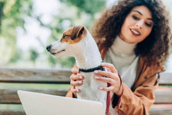 Messa a fuoco selettiva di bruna freelance abbracciare jack russell terrier cane mentre seduto nel parco con il computer portatile — Foto stock