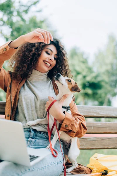 Emocionado freelancer jugando con jack russell terrier perro mientras está sentado en el banco en el parque con el ordenador portátil - foto de stock