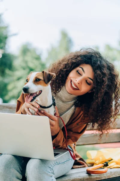 Alegre freelancer abrazar jack russell terrier perro mientras está sentado en el banco con el ordenador portátil - foto de stock