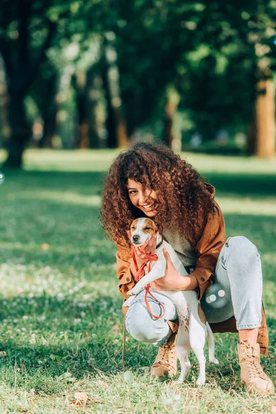 Selektiver Fokus der lockigen Frau, die Jack Russell Terrier auf Gras im Park umarmt — Stockfoto
