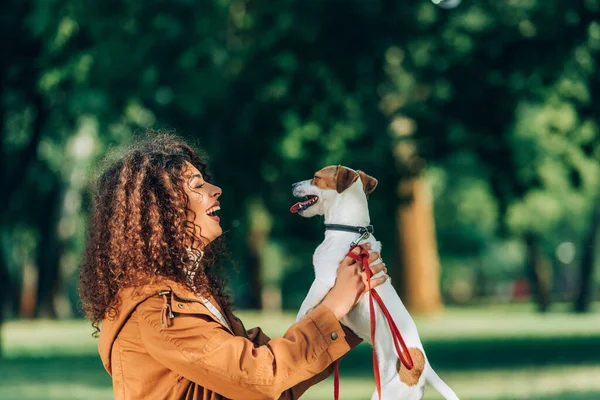 Vista lateral de la joven mujer rizada sosteniendo jack russell terrier en el parque - foto de stock