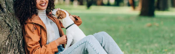 Horizontal crop of woman in autumn outfit playing with jack russell terrier near tree in park — Stock Photo
