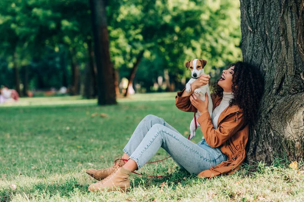 Concentration sélective de la femme bouclée en jeans et imperméable tenant Jack Russell terrier près de l'arbre dans le parc — Photo de stock