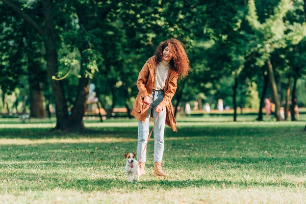 Concentration sélective de la femme bouclée en tenue d'automne tenant la laisse tout en se promenant avec Jack Russell terrier dans le parc — Photo de stock