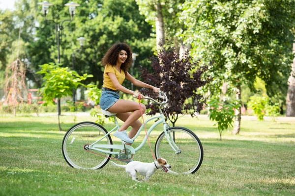 Selective focus of curly woman cycling near jack russell terrier in park — Stock Photo