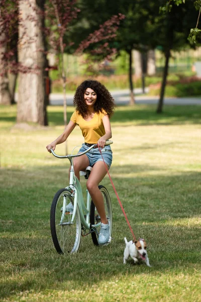 Selective focus of woman riding on bicycle near jack russell terrier on leash in park at summer — Stock Photo