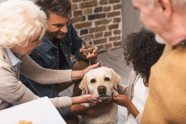 Multicultural family stroking golden retriever during celebration of thanksgiving day — Stock Photo