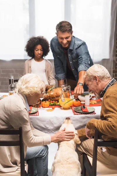 Focalizzazione selettiva della donna anziana accarezzando cane golden retriever durante la cena del Ringraziamento con famiglia multiculturale — Foto stock