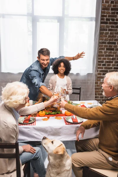 Selective focus of golden retriever near multicultural family clinking glasses of white wine white celebrating thanksgiving — Stock Photo