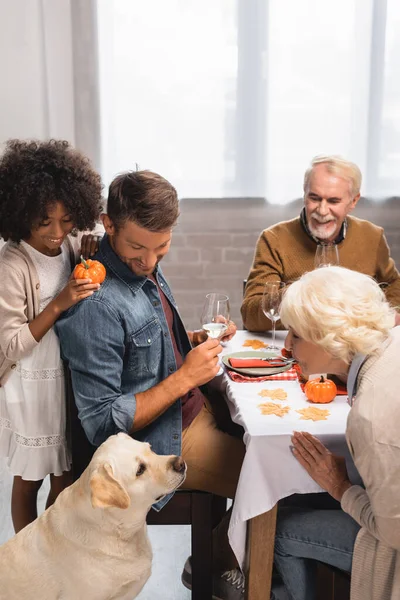 Selective focus of multiethnic family looking at golden retriever during thanksgiving dinner — Stock Photo