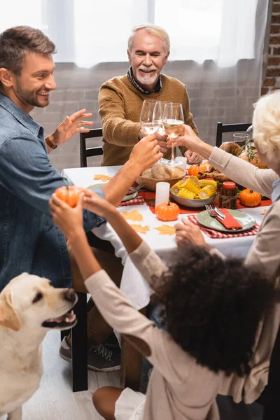 Selektiver Fokus eines afrikanisch-amerikanischen Mädchens mit dekorativem Kürbis in der Nähe von Golden Retriever und Familie, die Erntedankfest feiert — Stockfoto