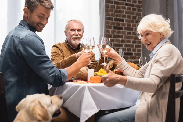 Excited senior woman showing thumb up while looking at golden retriever during thanksgiving celebration — Stock Photo