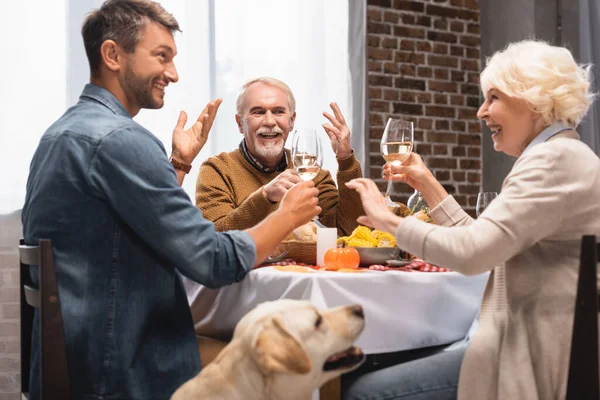 Enfoque selectivo de golden retriever cerca emocionado tostadas familiares con copas de vino durante la cena de acción de gracias - foto de stock