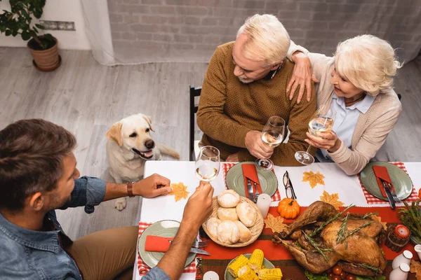 Vista ad alto angolo del golden retriever vicino alla famiglia che tiene bicchieri di vino bianco durante la cena del ringraziamento — Foto stock