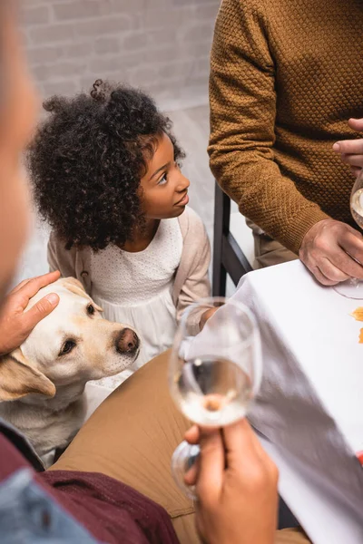 Селективное внимание человека, гладящего золотистого ретривера и держащего стакан белого вина во время праздничного ужина — стоковое фото