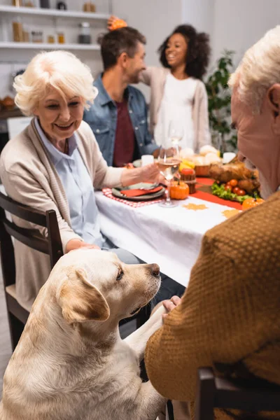 Foco seletivo de golden retriever perto de homem sênior celebrando dia de ação de graças com a família multiétnica — Fotografia de Stock