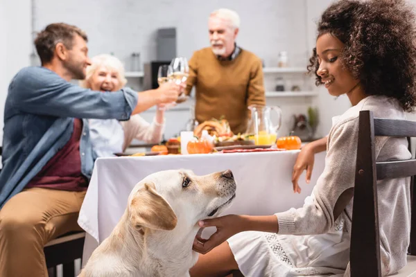 Messa a fuoco selettiva della ragazza afro-americana accarezzando golden retriever mentre la famiglia gioiosa celebra il giorno del Ringraziamento — Foto stock