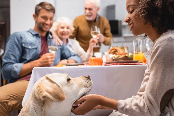 Selektiver Fokus von afrikanisch-amerikanischem Mädchen streichelt Golden Retriever, während Familie Erntedankfest feiert — Stockfoto