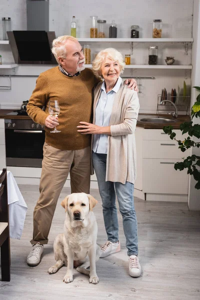 Coppia anziana abbracciando mentre in piedi in cucina vicino golden retriever il giorno del Ringraziamento — Foto stock