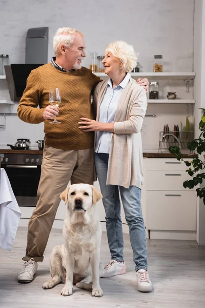 Alegre pareja de ancianos mirándose mientras están de pie en la cocina cerca de golden retriever en el día de acción de gracias - foto de stock