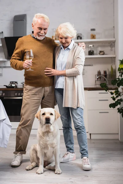 Joyful senior man holding glass of white wine and embracing wife while standing in kitchen near golden retriever — Stock Photo