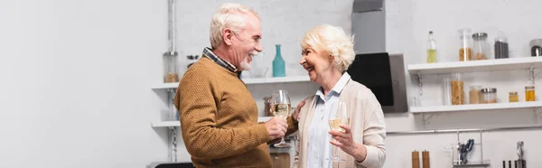 Panoramic shot of elderly couple holding glasses of wine in kitchen — Stock Photo