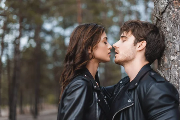 Young brunette woman kissing boyfriend in leather jacket near tree in forest — Stock Photo