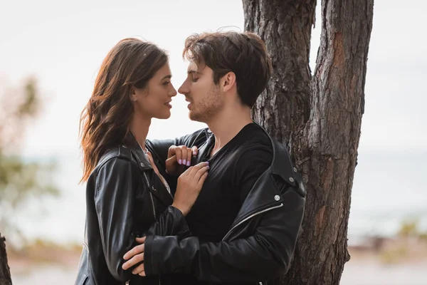 Hombre en chaqueta de cuero abrazando novia cerca del árbol en el bosque - foto de stock