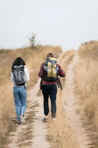 Rückansicht von Wanderern mit Rucksack, die auf dem Weg unterwegs sind — Stockfoto