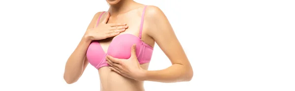 Заголовок сайта молодая женщина трогает грудь в розовом лифчике изолированы на белом, рак груди концепции — стоковое фото