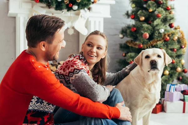 Happy couple cuddling dog near christmas tree at home — Stock Photo