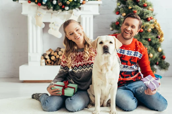 Felice coppia che tiene regali e seduto vicino a cane e albero di Natale — Foto stock