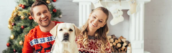 Heureux couple près de chien et arbre de Noël à la maison, bannière — Photo de stock