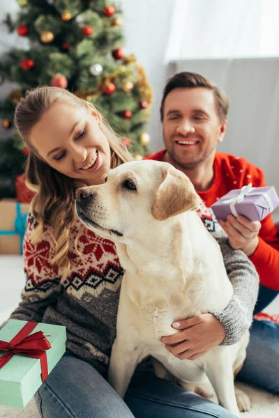 Casal segurando presentes perto de cão e árvore de natal em casa — Fotografia de Stock