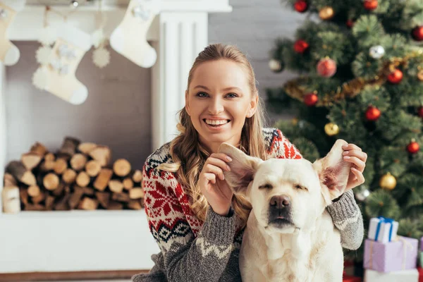Fröhliche Frau im Pullover spielt mit Labrador am Weihnachtsbaum — Stockfoto