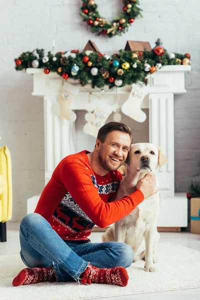 Homem feliz em camisola abraçando labrador em apartamento decorado, conceito de natal — Fotografia de Stock