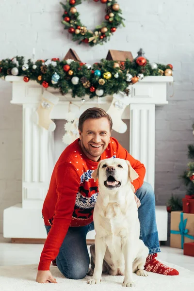Fröhlicher Mann im Pullover kuschelt Labrador in geschmückter Wohnung, Weihnachtskonzept — Stockfoto