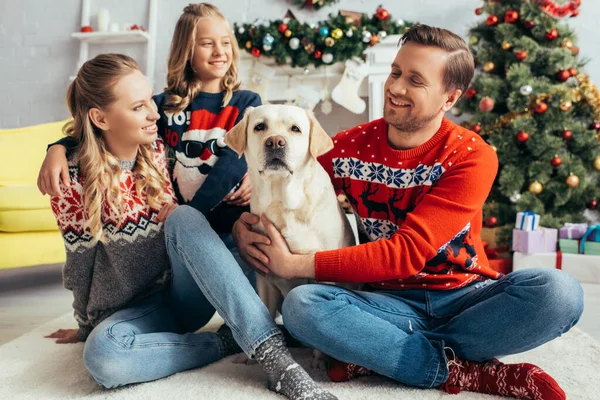 Glückliche Familie in Pullovern mit Blick auf Labrador und geschmückten Weihnachtsbaum — Stockfoto