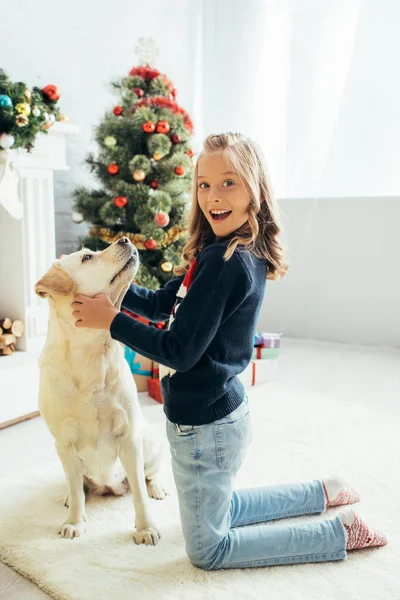 Aufgeregtes Mädchen im Pullover kuschelt Labrador und hält Geschenk im dekorierten Wohnzimmer, Weihnachtskonzept — Stockfoto