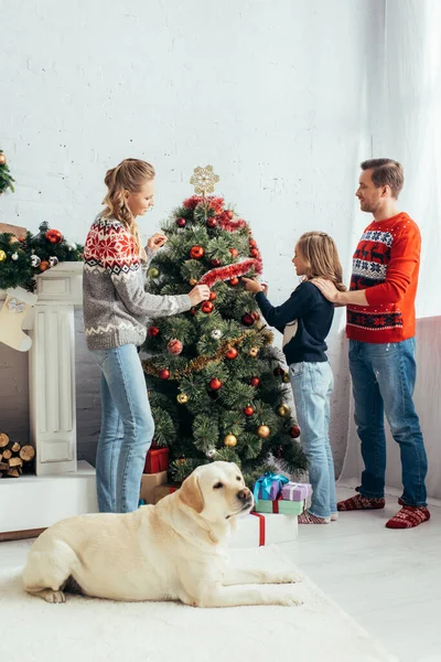 Labrador deitado perto de família feliz decoração árvore de Natal na sala de estar — Fotografia de Stock