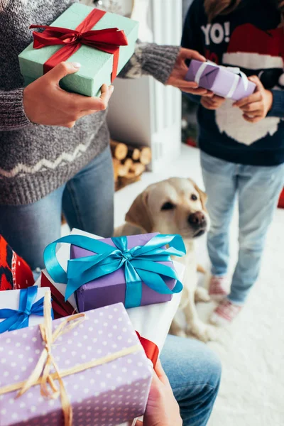 Vista recortada de los padres con regalos cerca de la hija y el perro en Navidad - foto de stock